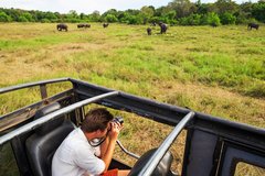 Ein Mann fotogarfiert aus dem Safari Fahrzeug Elefanten im Yala Nationalpark
