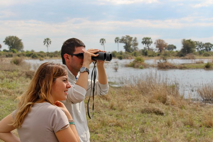 Zwei Touristen beobachten Tiere auf einer Safari in Botswana