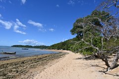 Strand beim Lokobe-Reservat