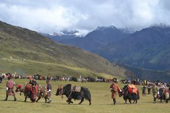 Bhutaner mit ihren Yaks am Royal Highland Festival in Laya