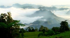 Nebelschwaden über der Berglandschaft von Borneo
