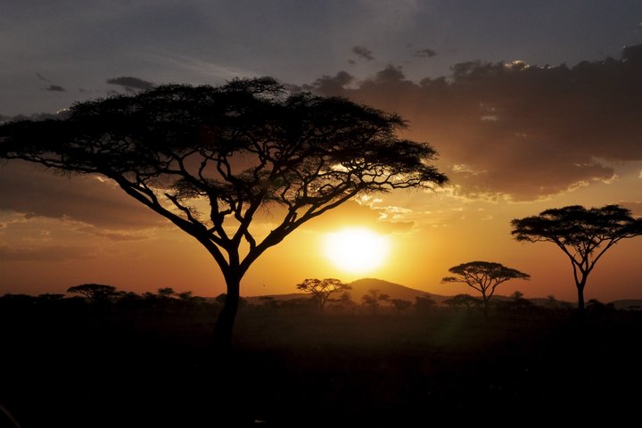 Sonnenuntergang in der Serengeti in Tansania