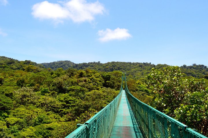 Hängebrücke im Nebelwald von Monteverde in Costa Rica