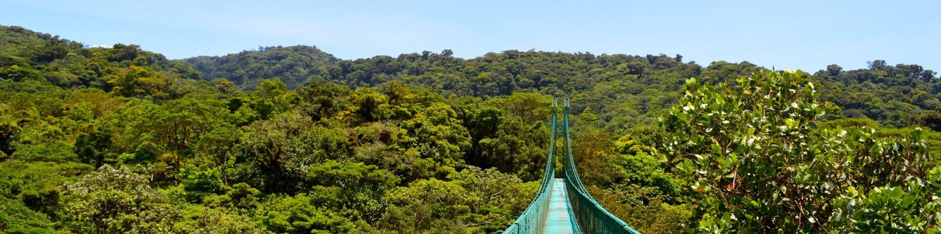 Hängebrücke im Nebelwald von Monteverde in Costa Rica