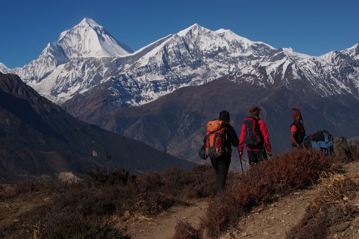 Trekking-Gruppe wandern dem Dhaulagiri entgegen