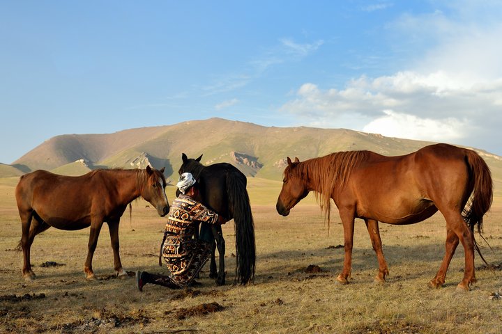 Eine Kirgisin melkt Pferde in Kirgistan
