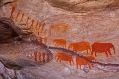 Rote Felsmalereien bei Cederberg - Elefanten