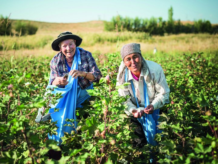 Frauen im Baumwollfeld in Kirgistan