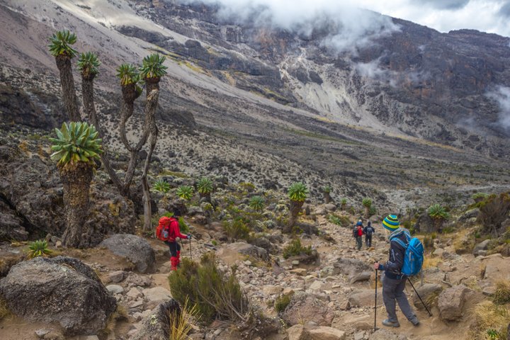 Machame Route Bild Abstieg mit Trekkern