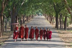 Mehrere Mönche in roten Gewändern auf einer Strasse in Myanmar