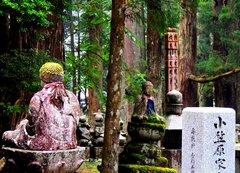 Im Waldfriedhof vom Kloster Koyasan in Japan
