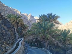 Strasse Richtung Wadi Tiwi