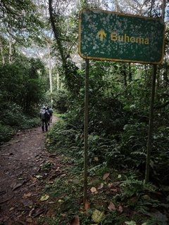 Wanderung durch den Bwindi NP