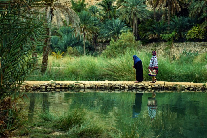 Sattgrünes Wadi im Oman