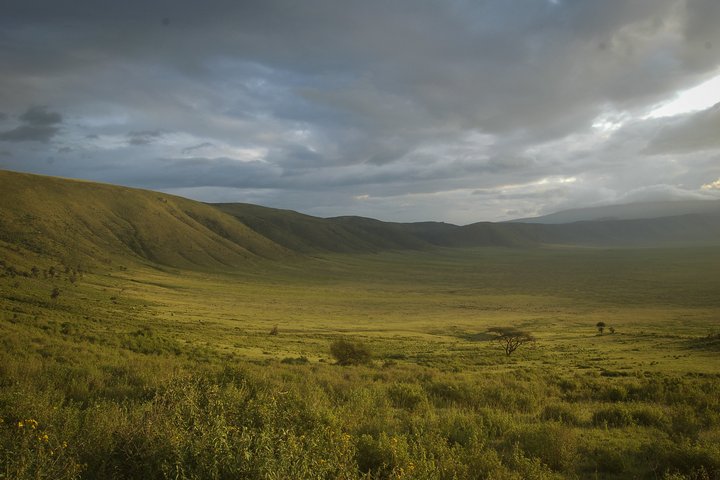 Ngorongoro Krater in Tansania
