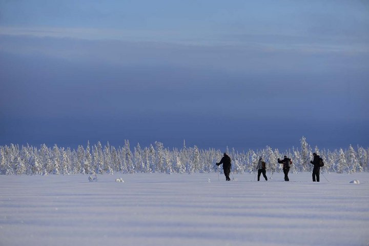 Vier Personen auf Ski in der tief verschneiten Winterlandschaft von Lappland