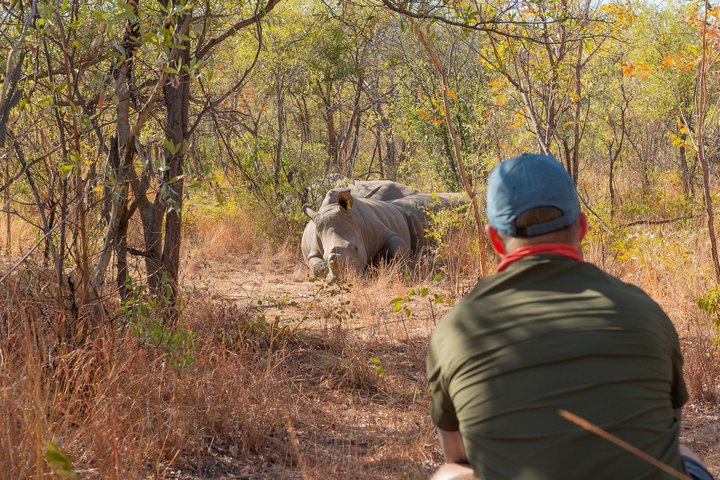 Mann mit Nashorn im Matobos-NP