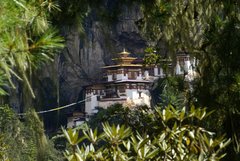 Blick durch den Wald zum Tigernest Kloster in Bhutan