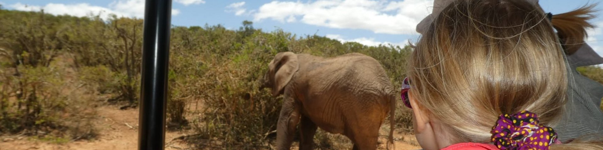 Pirschfahrt Addo Elephant NP 