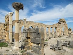 Die römischen Ruinen von Volubilis