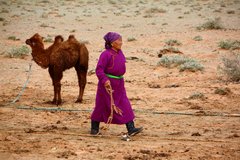 Freundliche Kamelzüchterin mit einem Jungtier in der Mongolei