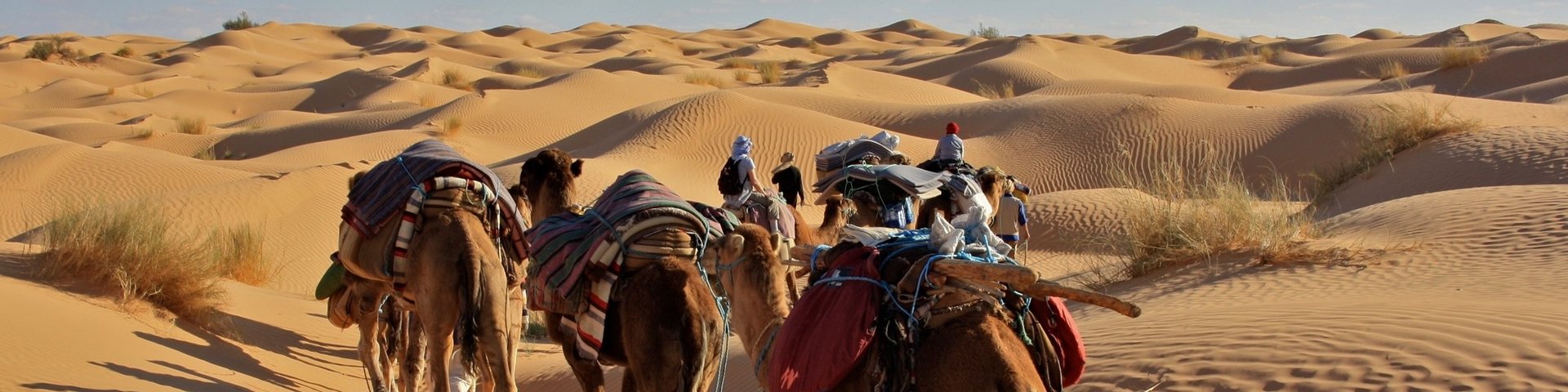 Kamelkarawane in der Wüste von Tunesien