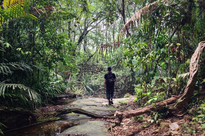 Wanderer unterwegs im Dschungel von Borneo