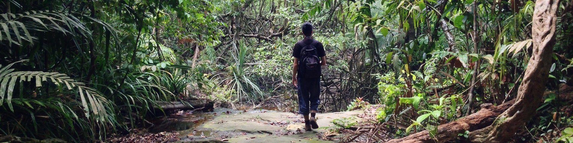 Wanderer unterwegs im Dschungel von Borneo