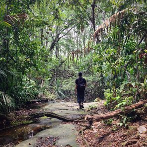 Borneo – Ein Traum für Naturliebhaber