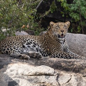 Jeep-Safari Tansania – 5 Tage Jeep-Safari Tansania – 5 Tage