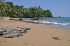 Sandstrand mit Palmen in Costa Rica