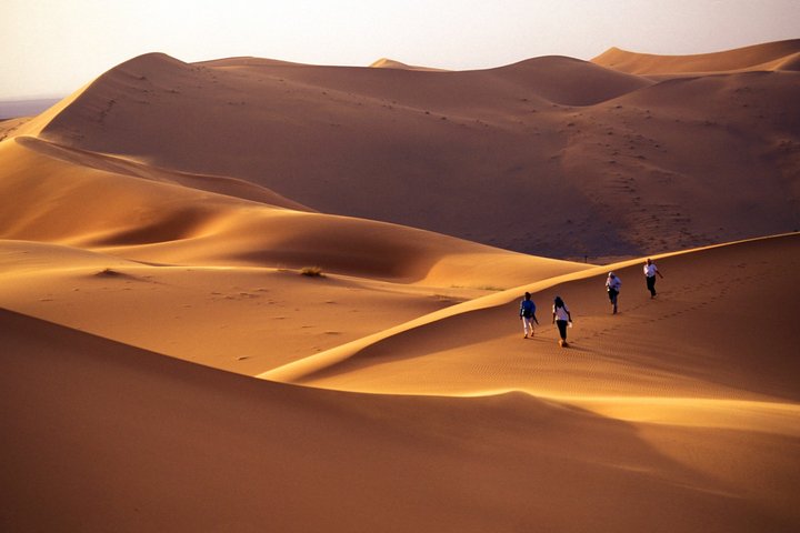 Eine Reisegruppe wandert über die Sanddünen der Wüste in Marokko