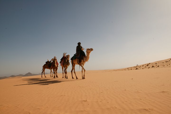 Kamelkarawane in der Wüste