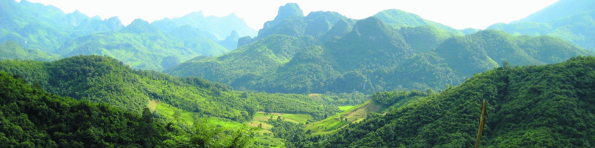 Naturlandschaft mit Reisfeld in Laos