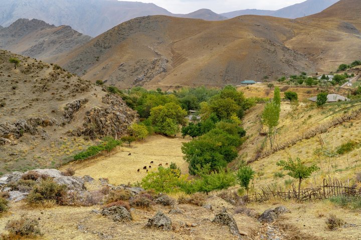 Landschaft in den Nurata-Bergen in Usbekistan