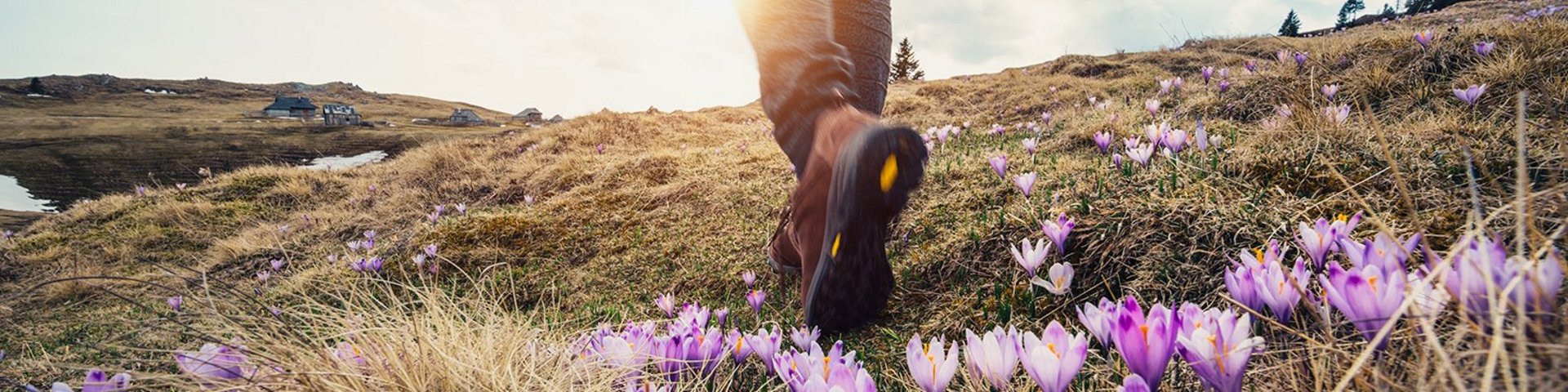 Trekking_Schuh_Globotrek_Jubi_iStock 506478832_bearbeitet Wanderschuhe