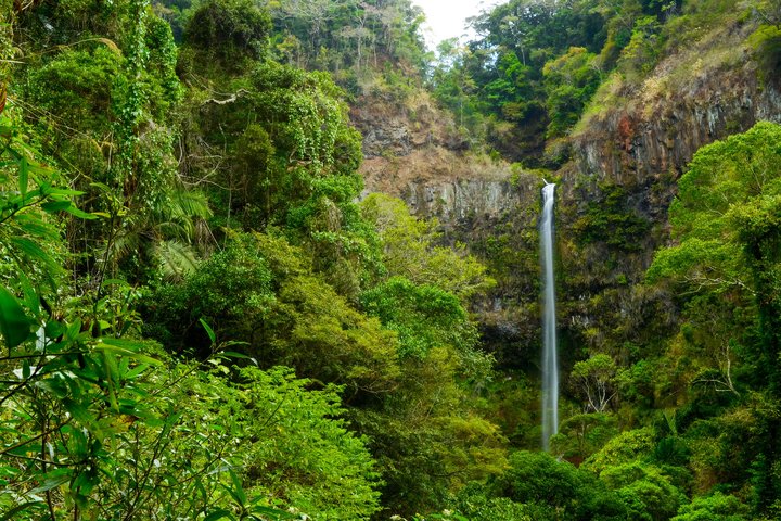 Wasserfall im Montagne d'Ambre-NP