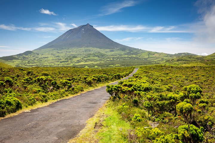 Strasse du endemische Pflanzen mit Aussicht auf Berg Pico