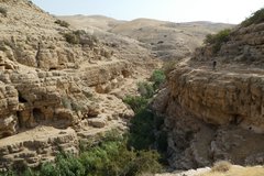 Wandern im Wadi Qelt