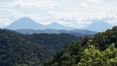 Panorama in Uganda mit Vulkanen und Dschungel
