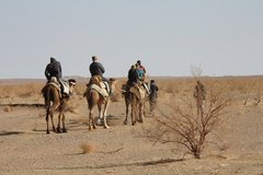 Touristen reiten auf Kamelen durch die Wüste im Iran