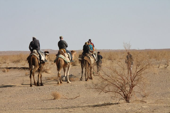 Touristen reiten auf Kamelen durch die Wüste im Iran