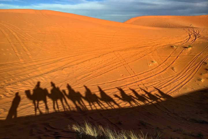 Schatten einer Kamelkarawane im Oman