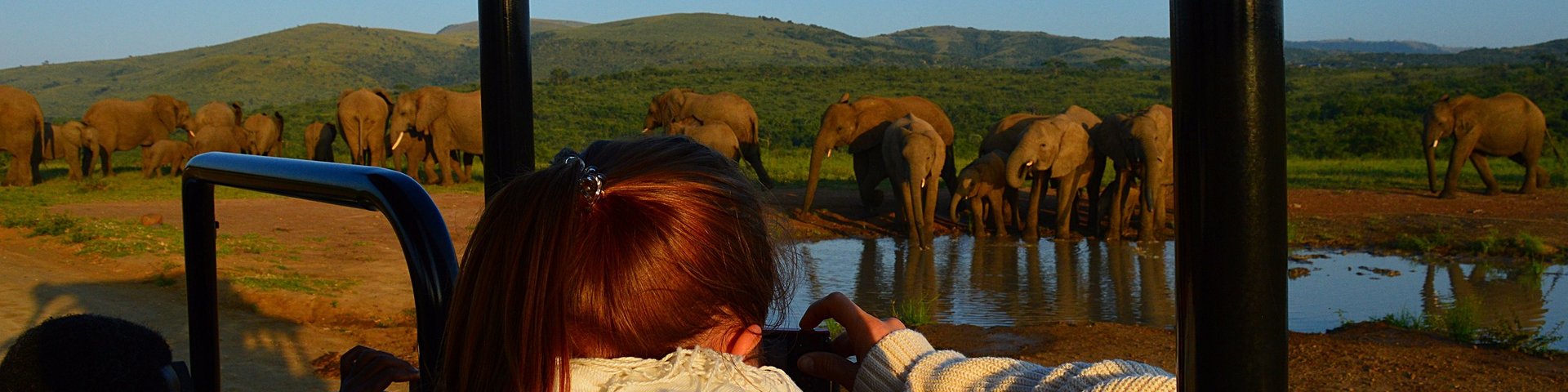 Frau fotografiert Elefanten vom Safari-Fahrzeug in Südafrika