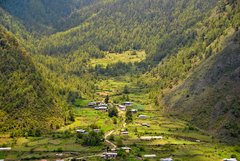 Dichte Wälder umgeben die Dörfer im Haa-Tal in Bhutan