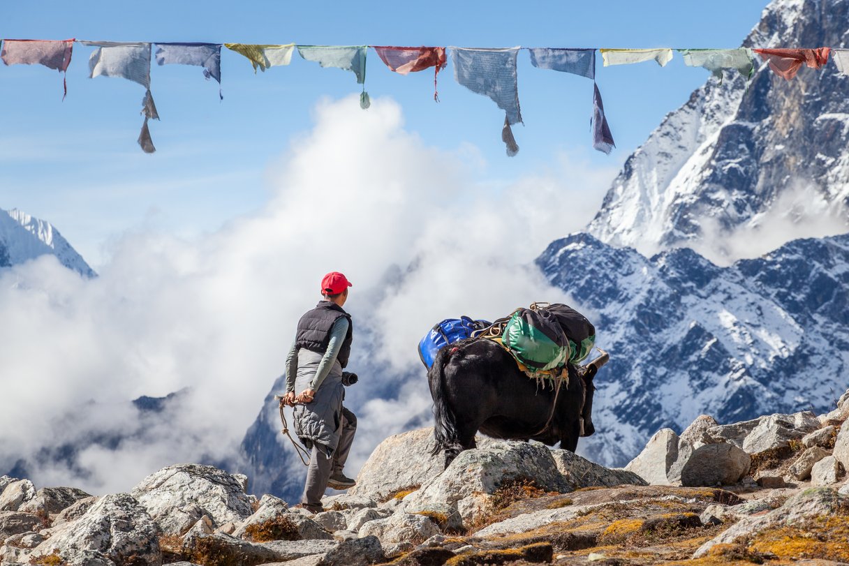 Nepali mit seinem Yak unterwegs im Himalaya Nepali mit seinem Yak unterwegs im Himalaya