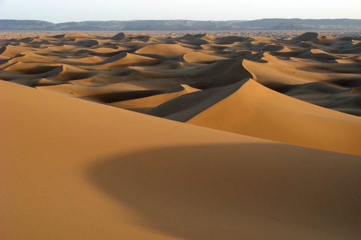 Sanddünen in der Wüste von Marokko
