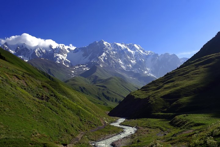 Berg Schchara in Georgien