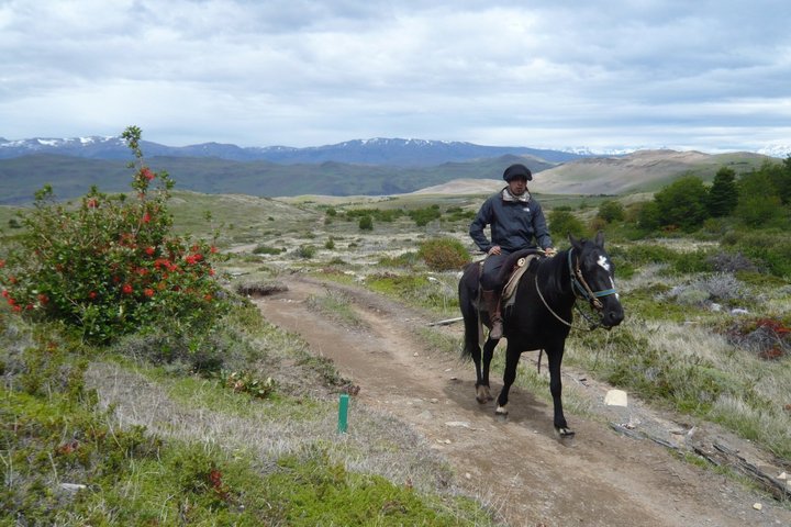 Ein einzelner Gaucho reitet auf seinem Pferd
