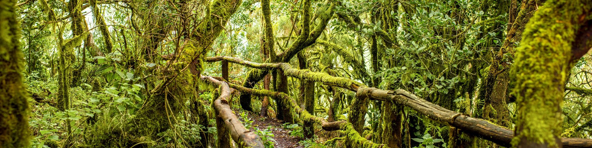 Nationalpark Irazu  in Costa Rica